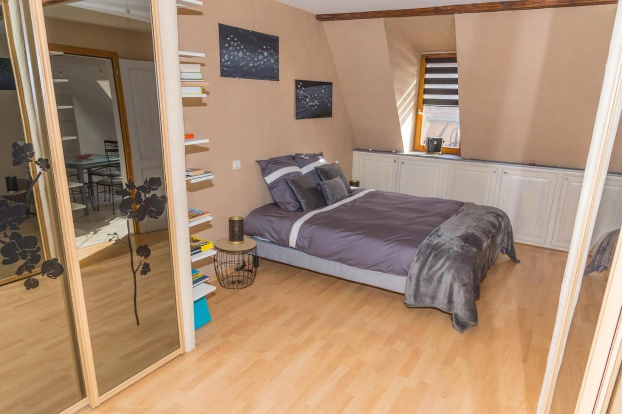 Charmant Appartement Alsacien Ribeauvillé Extérieur photo